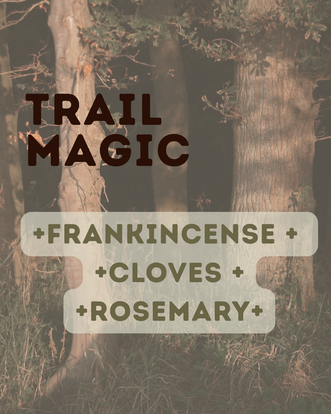 Trail Magic