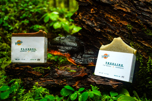 Dawn to Dusk Collection